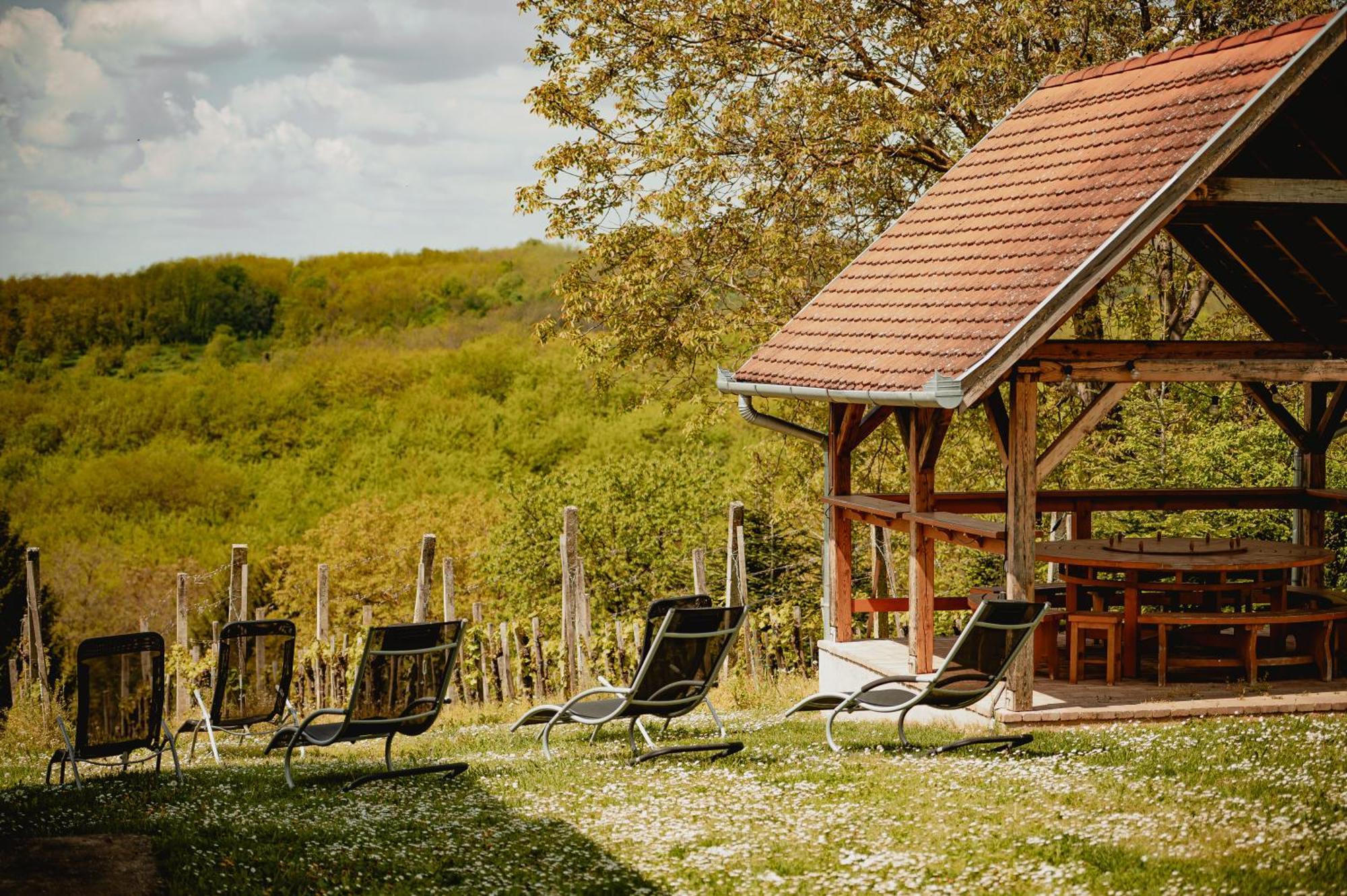 Förhénc Wine House&Guesthouses I-II-III Nagykanizsa Exterior foto